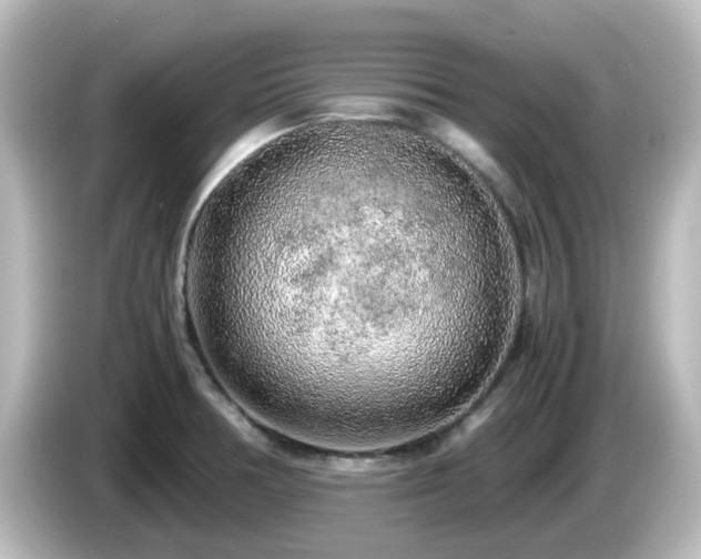 X0000085781378200703161155