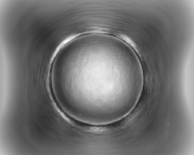 X0000085781379200703161155