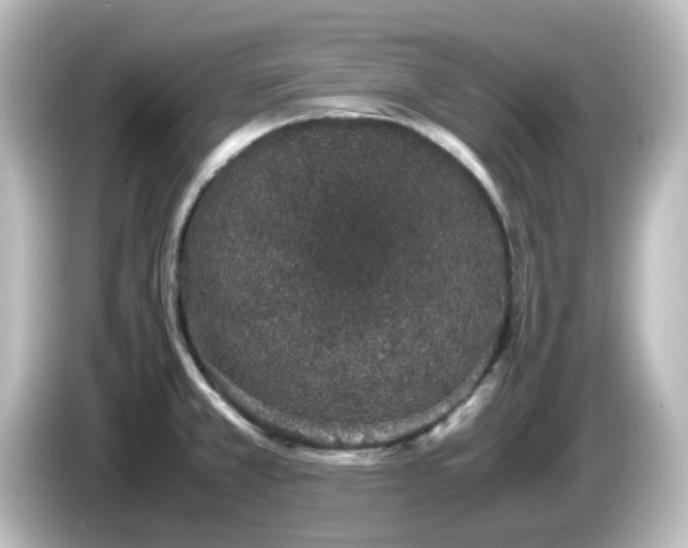 X0000085781381200703161155