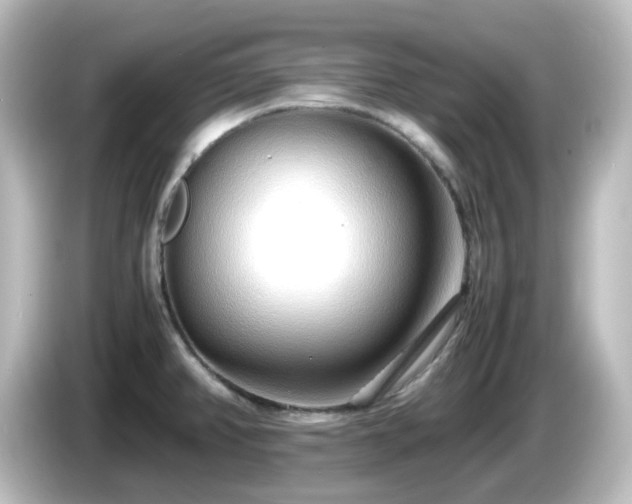 X0000085781382200703161155