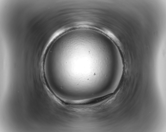 X0000085781384200703161155