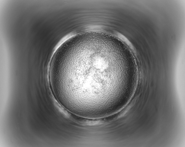 X0000085781386200703161155