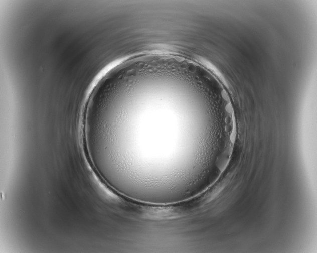 X0000085781387200703161155