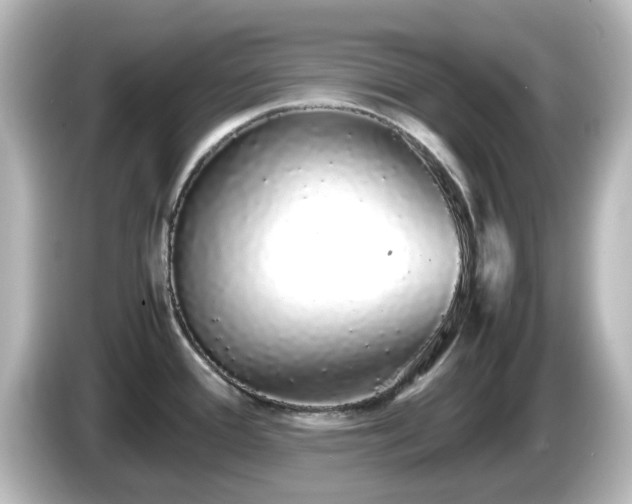 X0000085781388200703161155