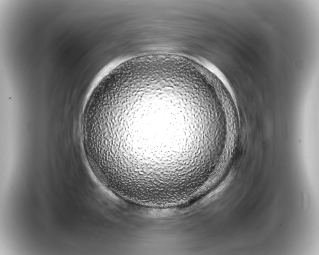 X0000085781389200703161155