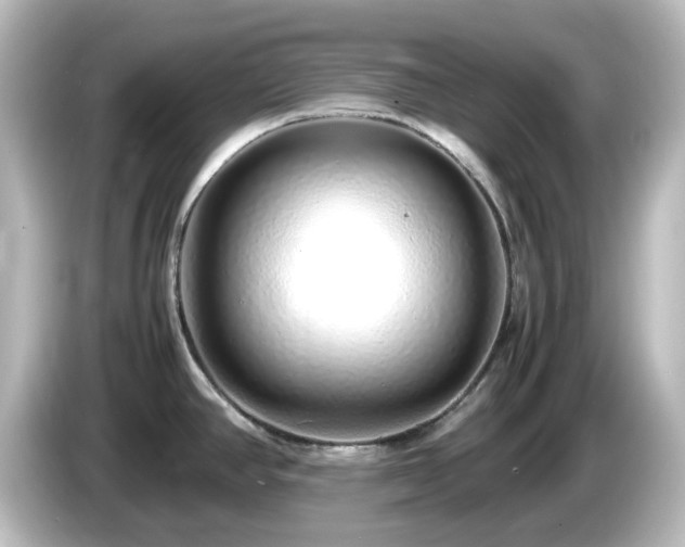 X0000085781390200703161155