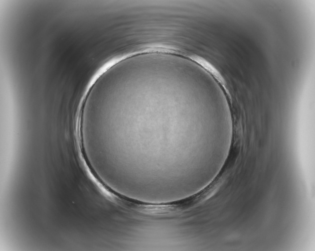 X0000085781391200703161155