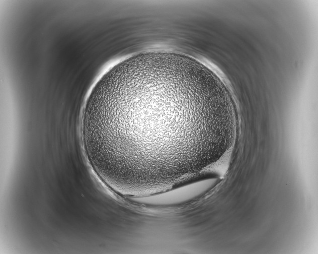 X0000085781392200703161155