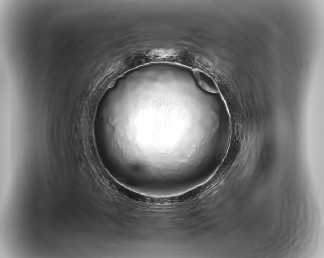 X0000085781393200703161154