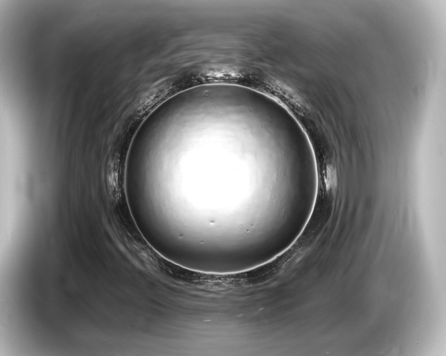 X0000085781396200703161154