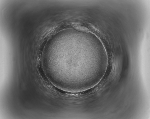 X0000085781397200703161155