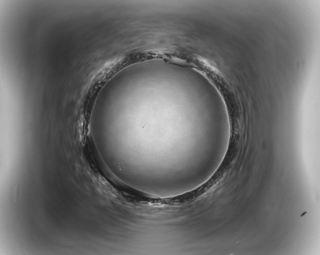 X0000085781398200703161155
