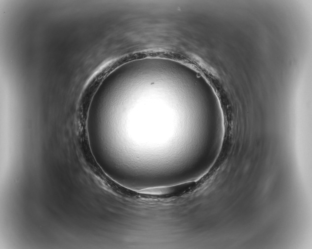 X0000085781400200703161155