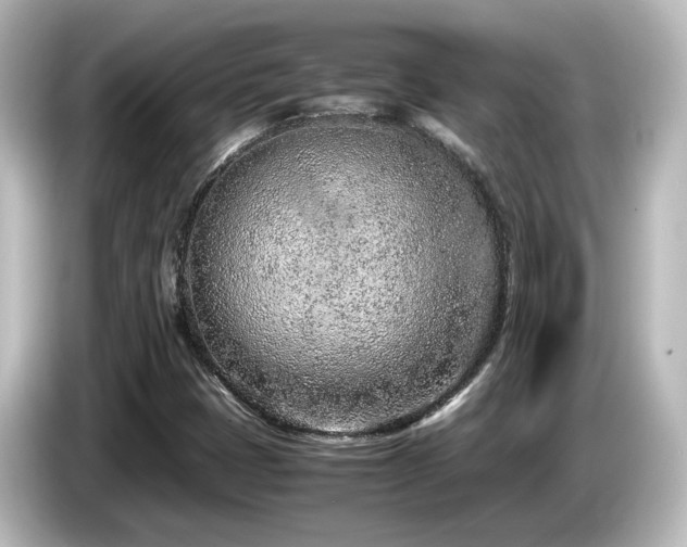 X0000085781401200703161155