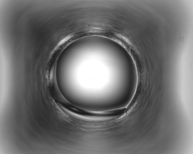 X0000085781402200703161155