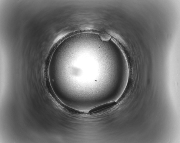 X0000085781404200703161155