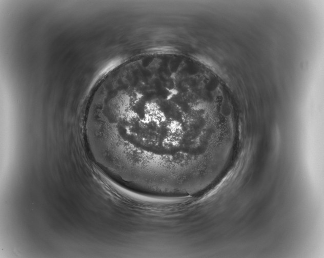 X0000085781405200703161155
