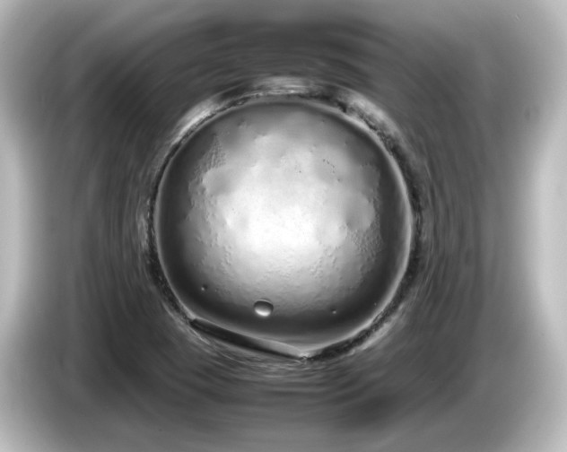 X0000085781409200703161155