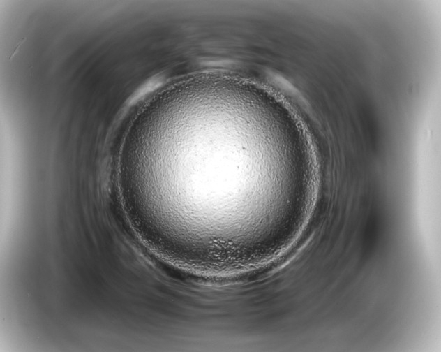X0000085781411200703161155