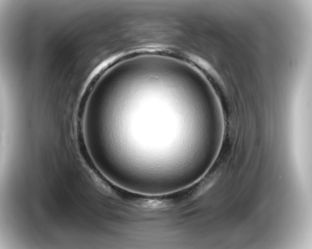 X0000085781412200703161155
