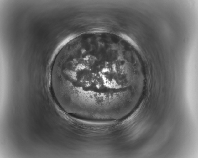 X0000085781413200703161155