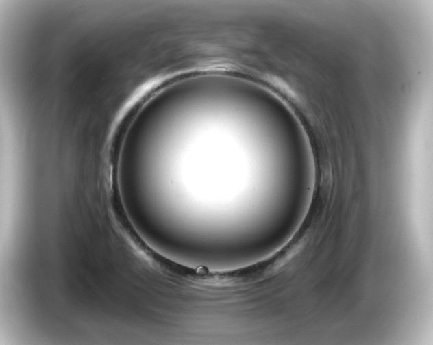 X0000085781414200703161155