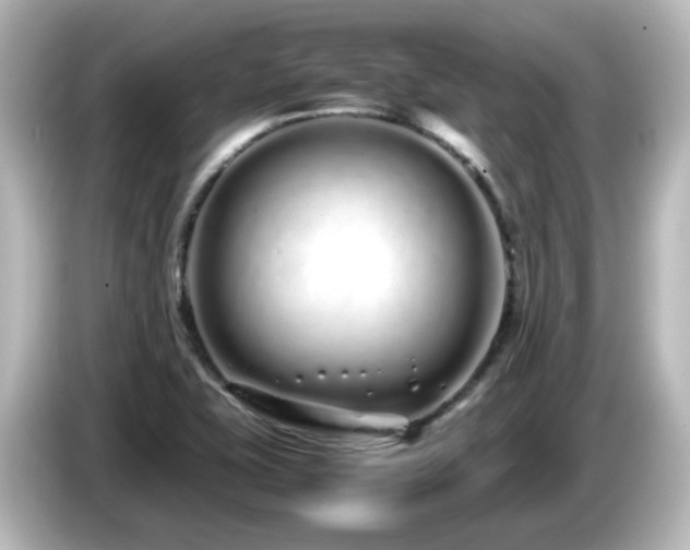 X0000085781415200703161155
