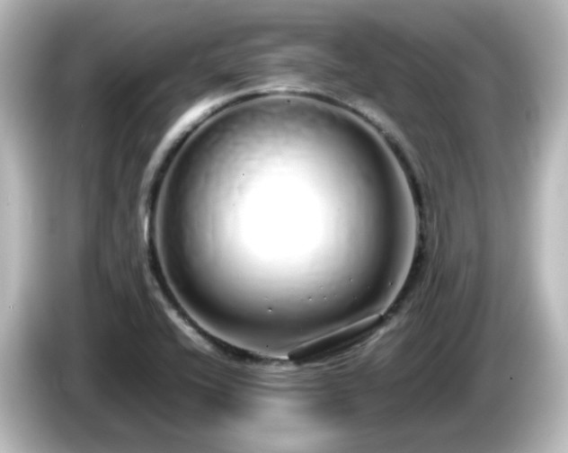 X0000085781416200703161155