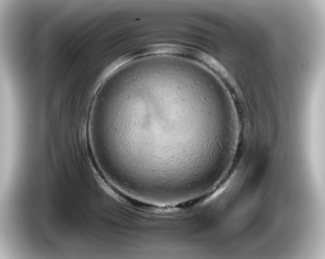 X0000085781417200703161155