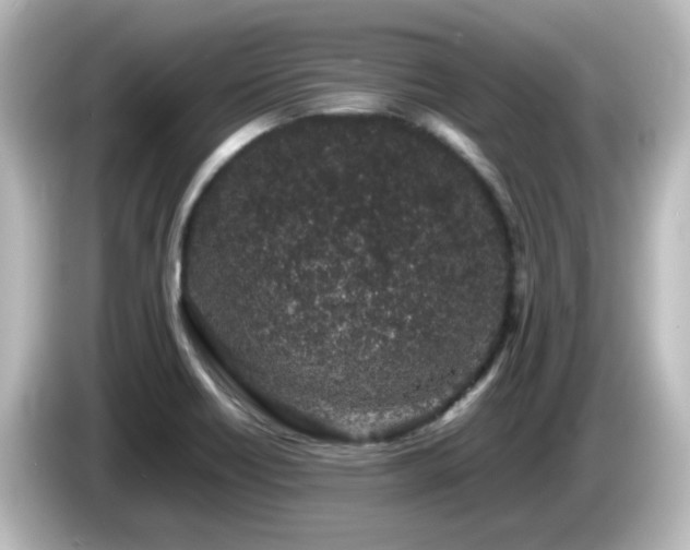 X0000085781418200703161155