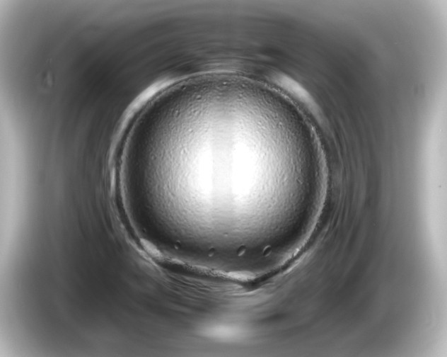 X0000085781419200703161155