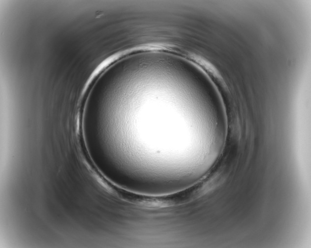 X0000085781420200703161155