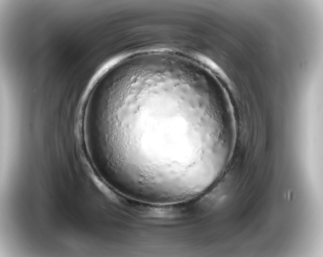 X0000085781421200703161155
