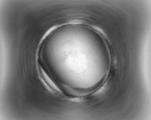 X0000085781422200703161155