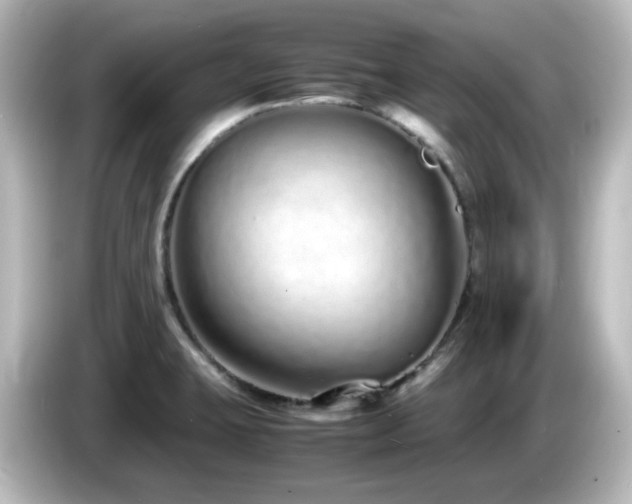 X0000085781423200703161155