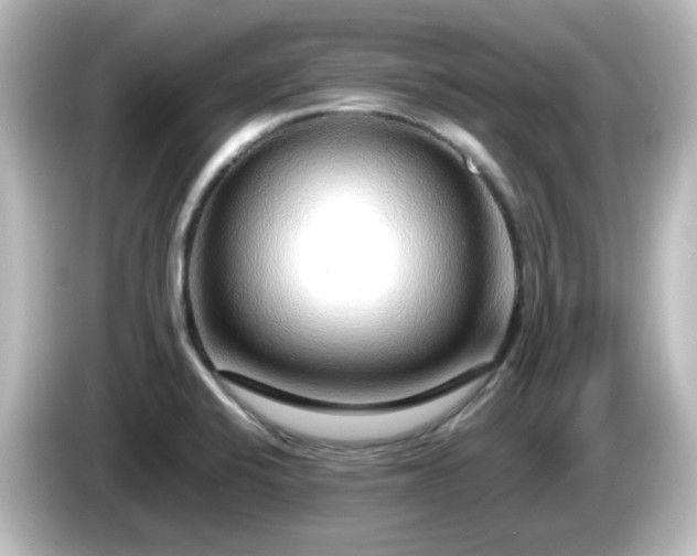 X0000085781424200703161155