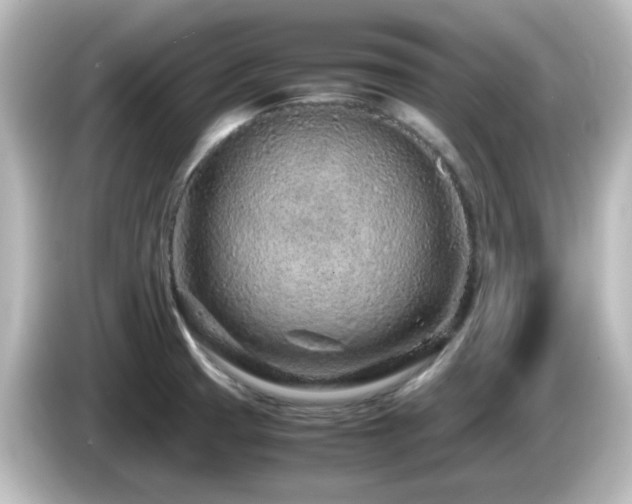 X0000085781425200703161155
