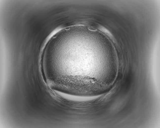 X0000085781427200703161155
