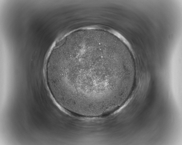 X0000085781429200703161155