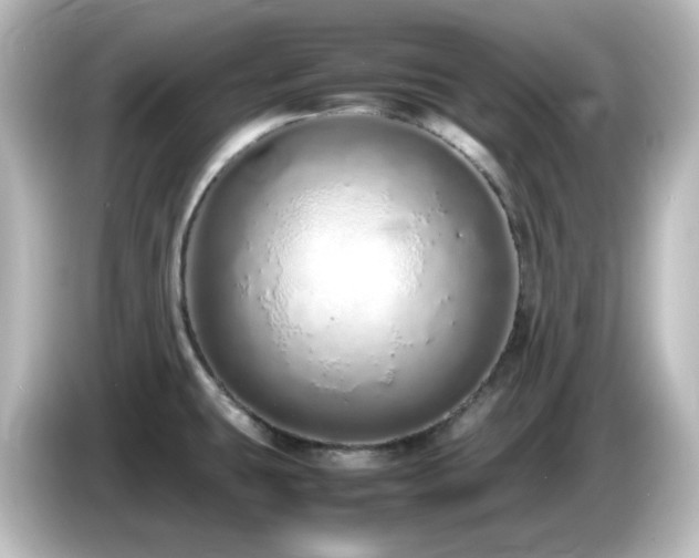 X0000085781431200703161155