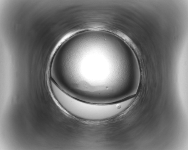 X0000085781432200703161155