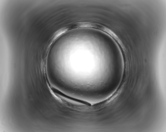 X0000085781433200703161155