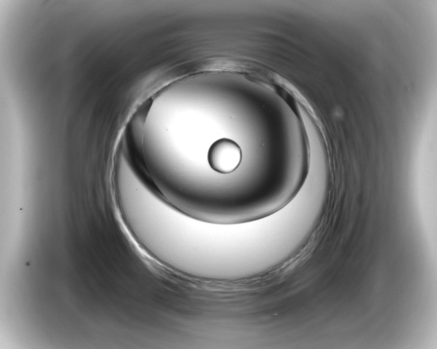 X0000085781434200703161155