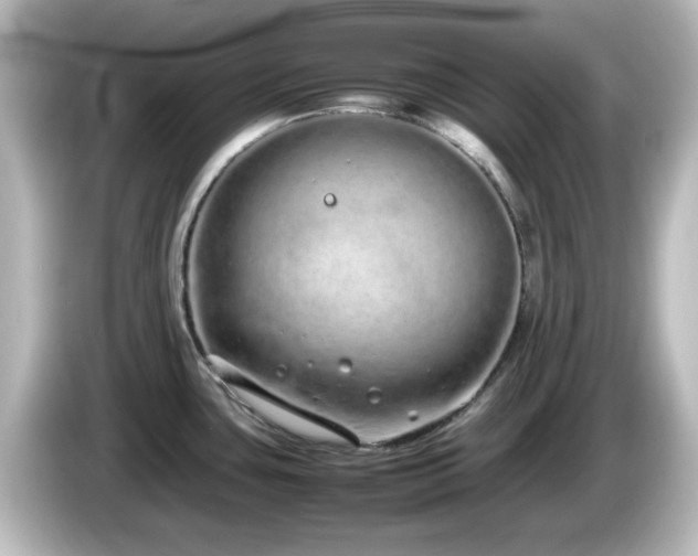 X0000085781435200703161155