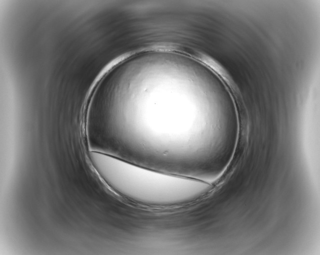 X0000085781436200703161155