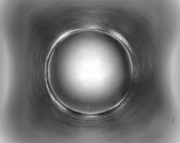 X0000085781439200703161155