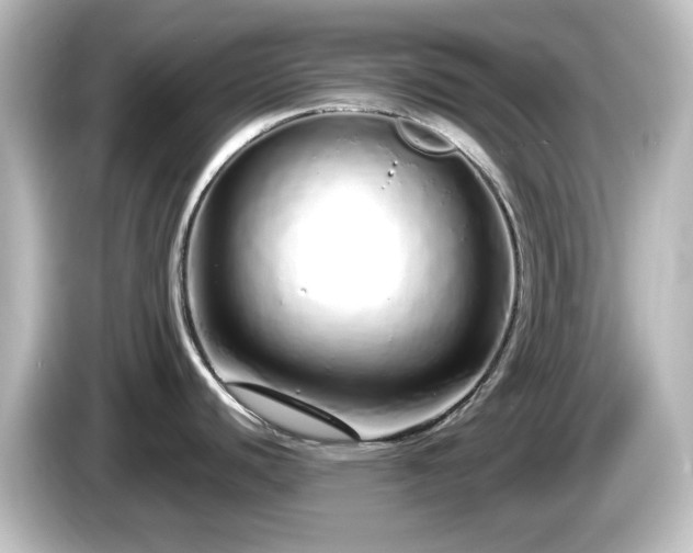 X0000085781440200703161155