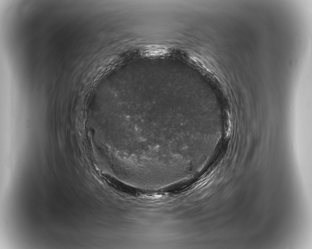 X0000085781441200703161154