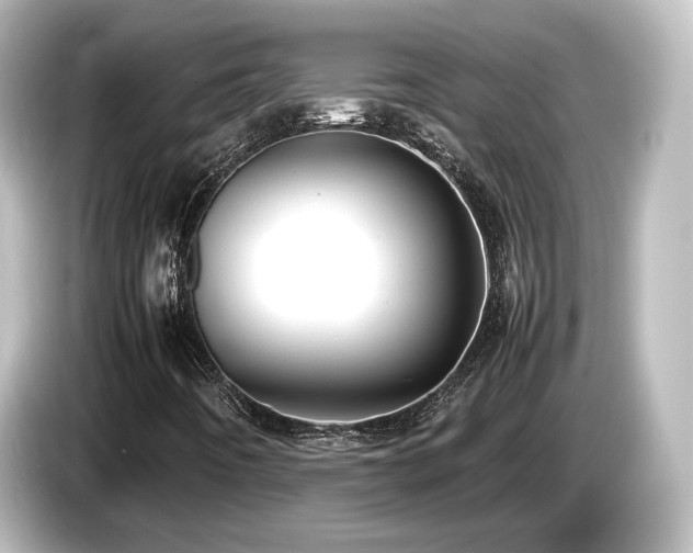 X0000085781442200703161154