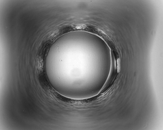 X0000085781443200703161154